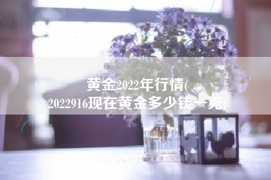 黄金2022年行情(
2022916现在黄金多少钱一克) 黄金2022年行情(
2022916现在黄金多少钱一克)