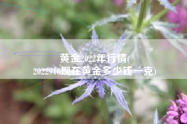 黄金2022年行情(
2022916现在黄金多少钱一克) 黄金2022年行情(
2022916现在黄金多少钱一克)