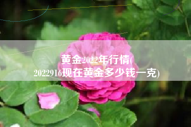 黄金2022年行情(
2022916现在黄金多少钱一克) 黄金2022年行情(
2022916现在黄金多少钱一克)