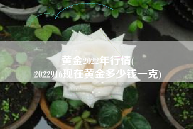 黄金2022年行情(
2022916现在黄金多少钱一克) 黄金2022年行情(
2022916现在黄金多少钱一克)