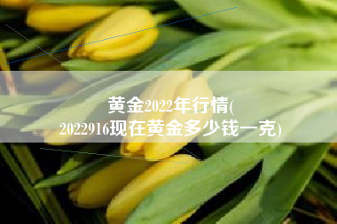 黄金2022年行情(
2022916现在黄金多少钱一克) 黄金2022年行情(
2022916现在黄金多少钱一克)