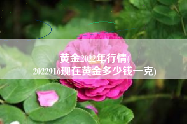 黄金2022年行情(
2022916现在黄金多少钱一克) 黄金2022年行情(
2022916现在黄金多少钱一克)