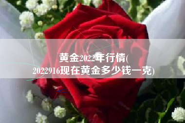 黄金2022年行情(
2022916现在黄金多少钱一克) 黄金2022年行情(
2022916现在黄金多少钱一克)