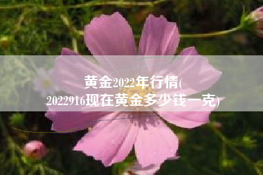 黄金2022年行情(
2022916现在黄金多少钱一克) 黄金2022年行情(
2022916现在黄金多少钱一克)