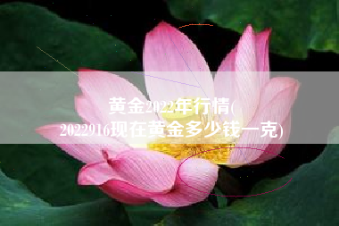 黄金2022年行情(
2022916现在黄金多少钱一克) 黄金2022年行情(
2022916现在黄金多少钱一克)