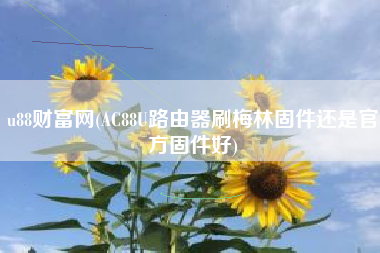 u88财富网(AC88U路由器刷梅林固件还是官方固件好)