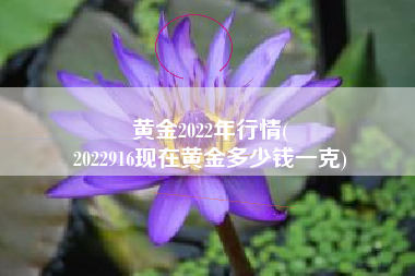 黄金2022年行情(
2022916现在黄金多少钱一克) 黄金2022年行情(
2022916现在黄金多少钱一克)