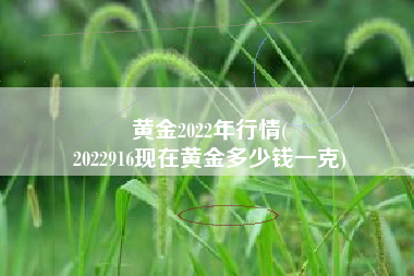 黄金2022年行情(
2022916现在黄金多少钱一克) 黄金2022年行情(
2022916现在黄金多少钱一克)