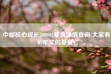 中邮核心成长590002基金净值查询(大家有07年买的基金)