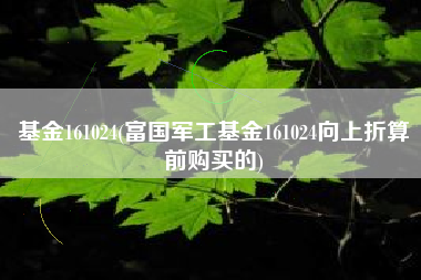 基金161024(富国军工基金161024向上折算前购买的)