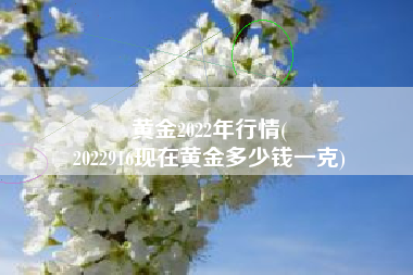 黄金2022年行情(
2022916现在黄金多少钱一克) 黄金2022年行情(
2022916现在黄金多少钱一克)