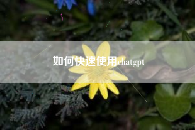 如何快速使用chatgpt