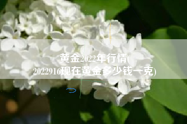 黄金2022年行情(
2022916现在黄金多少钱一克) 黄金2022年行情(
2022916现在黄金多少钱一克)