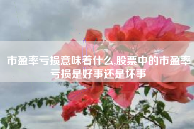 市盈率亏损意味着什么,股票中的市盈率亏损是好事还是坏事
