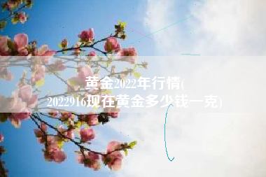 黄金2022年行情(
2022916现在黄金多少钱一克) 黄金2022年行情(
2022916现在黄金多少钱一克)