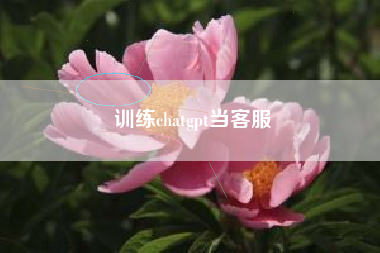 训练chatgpt当客服