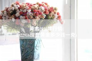 黄金2022年行情(
2022916现在黄金多少钱一克) 黄金2022年行情(
2022916现在黄金多少钱一克)