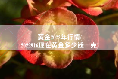黄金2022年行情(
2022916现在黄金多少钱一克) 黄金2022年行情(
2022916现在黄金多少钱一克)