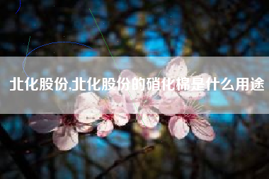 北化股份,北化股份的硝化棉是什么用途