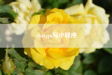 chatgpt写小程序