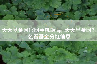 天天基金网官网手机版 app,天天基金网怎么看基金分红信息