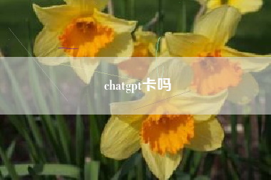 chatgpt卡吗