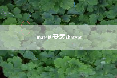 mate60安装chatgpt