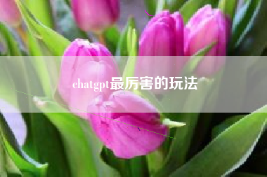 chatgpt最厉害的玩法