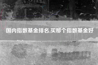 国内指数基金排名,买那个指数基金好