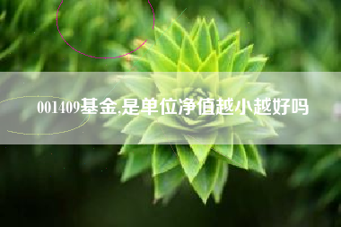 001409基金,是单位净值越小越好吗
