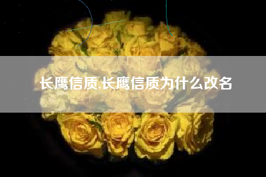 长鹰信质,长鹰信质为什么改名