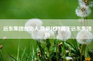远东集团创始人,伟伊化纤属于远东集团吗