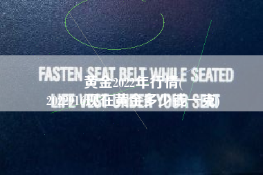黄金2022年行情(
2022916现在黄金多少钱一克) 黄金2022年行情(
2022916现在黄金多少钱一克)