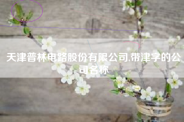 天津普林电路股份有限公司,带津字的公司名称