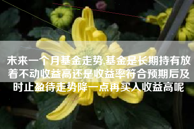 未来一个月基金走势,基金是长期持有放着不动收益高还是收益率符合预期后及时止盈待走势降一点再买入收益高呢