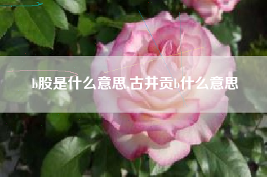 b股是什么意思,古井贡b什么意思