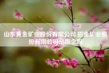 详细阅读:山东黄金矿业股份有限公司,招金矿业股份有限公司是国企吗 山东黄金矿业股份有限公司,招金矿业股份有限公司是国企吗