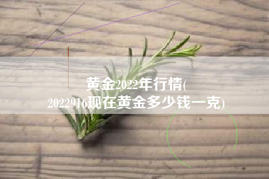 黄金2022年行情(
2022916现在黄金多少钱一克) 黄金2022年行情(
2022916现在黄金多少钱一克)