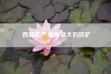 西部矿产,缅甸最大的铁矿