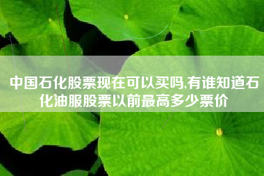 中国石化股票现在可以买吗,有谁知道石化油服股票以前最高多少票价