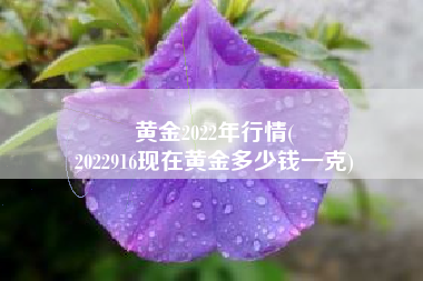 黄金2022年行情(
2022916现在黄金多少钱一克) 黄金2022年行情(
2022916现在黄金多少钱一克)