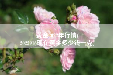 黄金2022年行情(
2022916现在黄金多少钱一克) 黄金2022年行情(
2022916现在黄金多少钱一克)