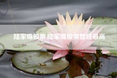 陆家嘴股票,陆家嘴股票曾经最高