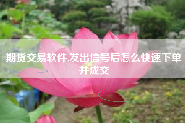 期货交易软件,发出信号后怎么快速下单并成交