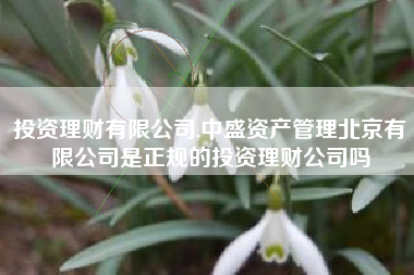 投资理财有限公司,中盛资产管理北京有限公司是正规的投资理财公司吗