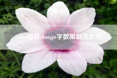 edge插件chatgpt字数限制怎么办