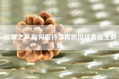 股票之声,如何看待李霄鹏接任鲁能主教练