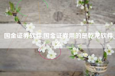 国金证券软件,国金证券用的是乾龙软件么