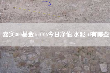 嘉实300基金160706今日净值,水泥etf有哪些