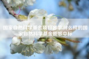 国家自然科学基金项目名单,什么样的国家自然科学基金能够中标